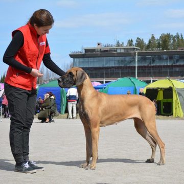 Näyttelykurssi